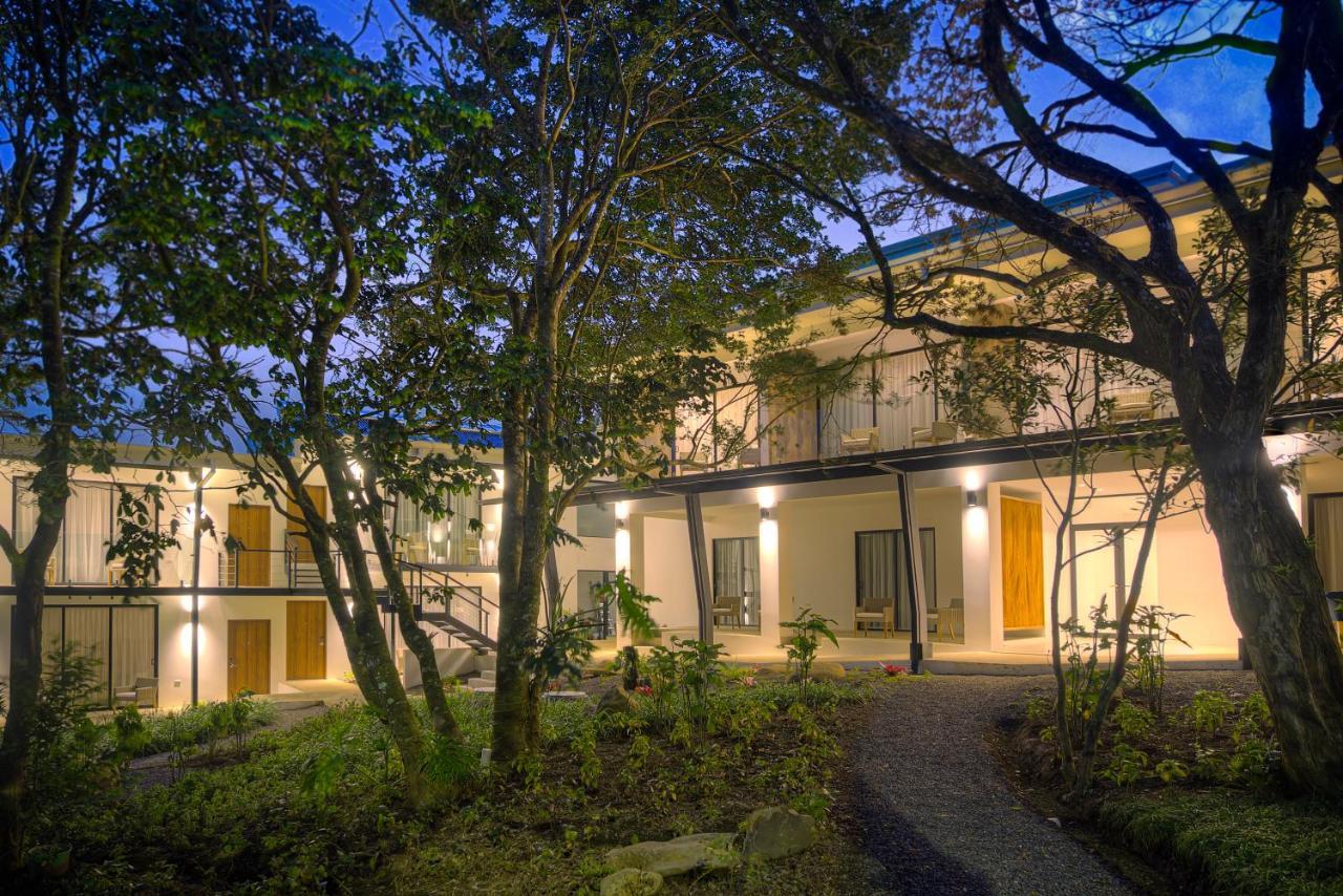 Ocotea Boutique 5* Monteverde